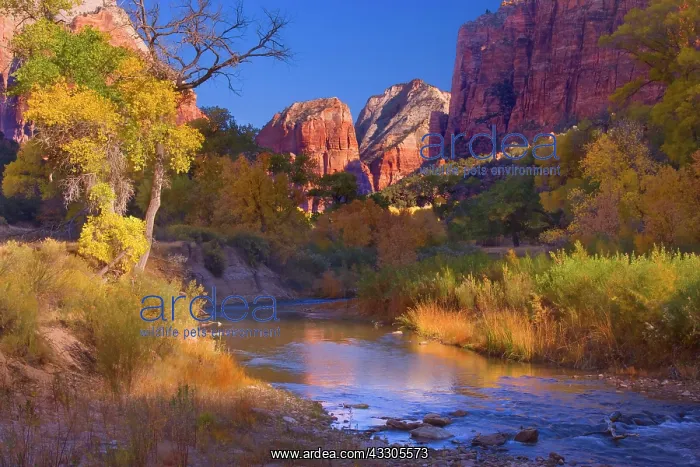 : 80187435 Court of The Patriarchs - red cliffs called : 80187435 Court of The Patriarchs - red cliffs called