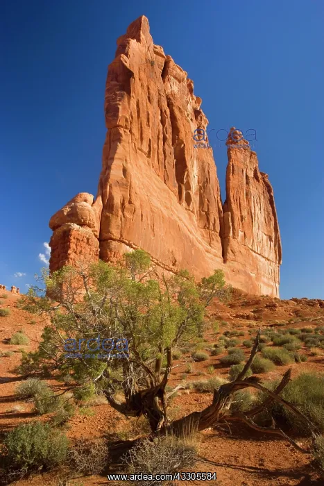 : 80187436 Courthouse Towers - sandstone butte called
