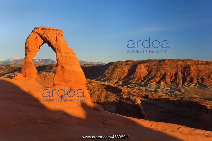 : 80187471 Delicate Arch - delicately sculpted sandstone : 80187471 Delicate Arch - delicately sculpted sandstone