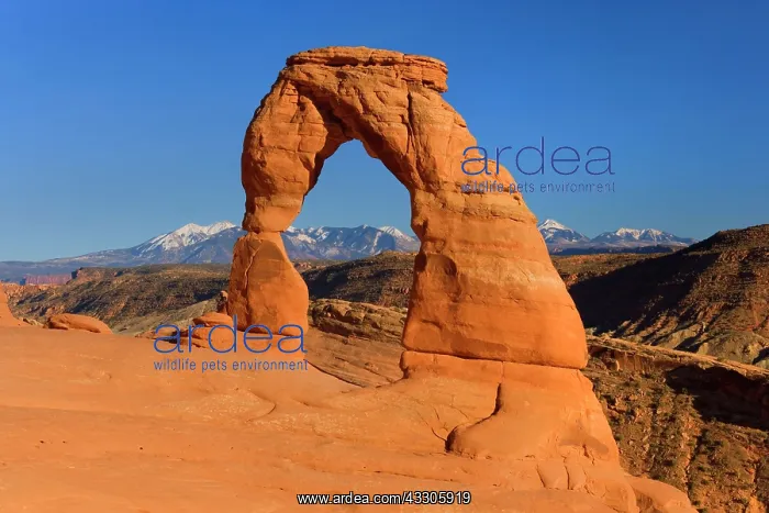 : 80187472 Delicate Arch - delicately sculpted sandstone : 80187472 Delicate Arch - delicately sculpted sandstone