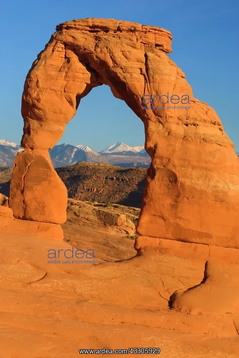 : 80187473 Delicate Arch - delicately sculpted sandstone : 80187473 Delicate Arch - delicately sculpted sandstone