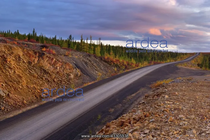 : 80187474 Dempster Highway - gravel road Dempster : 80187474 Dempster Highway - gravel road Dempster