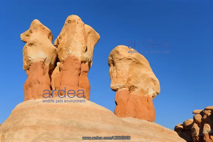 : 80187487 Devil's Garden - petrified sand dunes : 80187487 Devil's Garden - petrified sand dunes