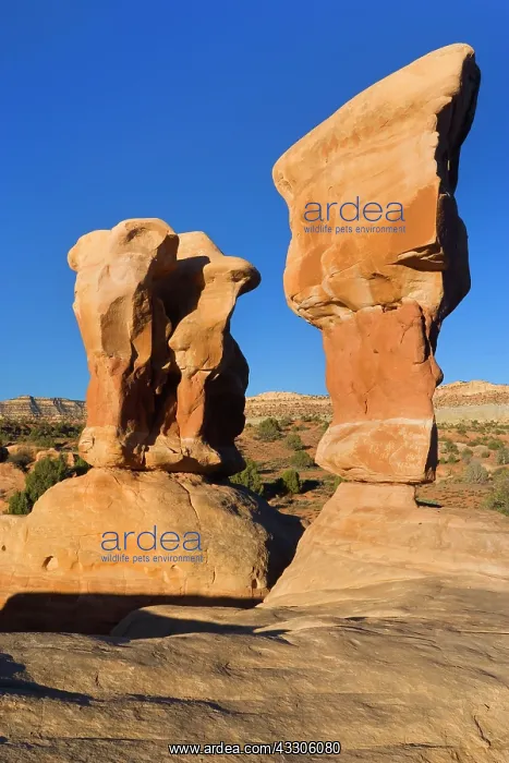 : 80187489 Devil's Garden - petrified sand dunes : 80187489 Devil's Garden - petrified sand dunes