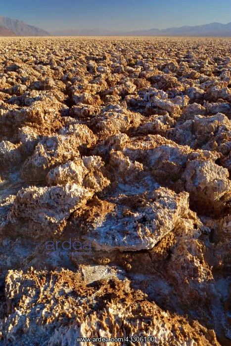 : 80187491 Devil's Golf Course - dried-up salt lake