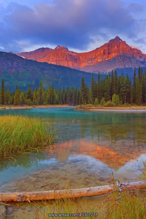 : 80187538 Epaulette Mountain - mountain landscape : 80187538 Epaulette Mountain - mountain landscape