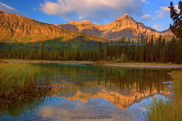 : 80187539 Epaulette Mountain - mountain landscape : 80187539 Epaulette Mountain - mountain landscape