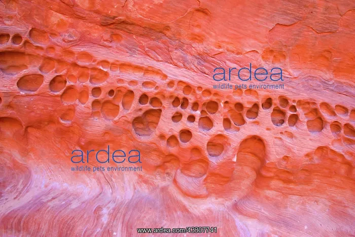 : 80187542 erosion pattern - by wind and water washed : 80187542 erosion pattern - by wind and water washed