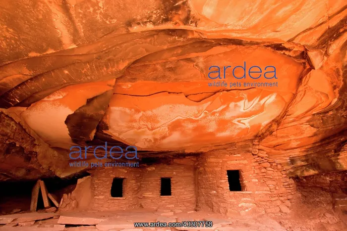 : 80187545 Fallen Roof Ruin - remarkable ancient puebluan : 80187545 Fallen Roof Ruin - remarkable ancient puebluan
