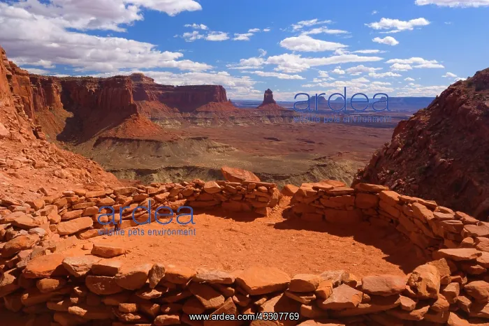 : 80187547 False Kiva - ancient indian ruin tucked : 80187547 False Kiva - ancient indian ruin tucked