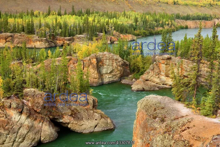 : 80187554 Five Finger Rapids - famous and dangerous : 80187554 Five Finger Rapids - famous and dangerous