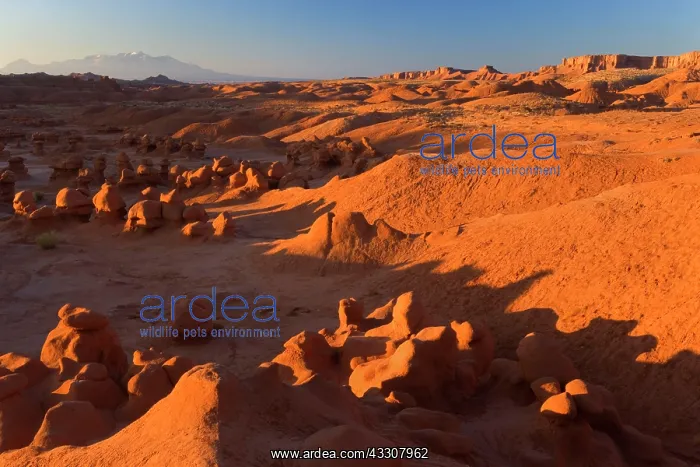 : 80187577 Goblin Valley - weirdly shaped sandstone : 80187577 Goblin Valley - weirdly shaped sandstone