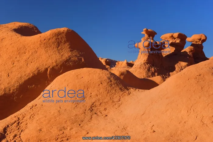: 80187578 Goblin Valley - weirdly shaped sandstone : 80187578 Goblin Valley - weirdly shaped sandstone