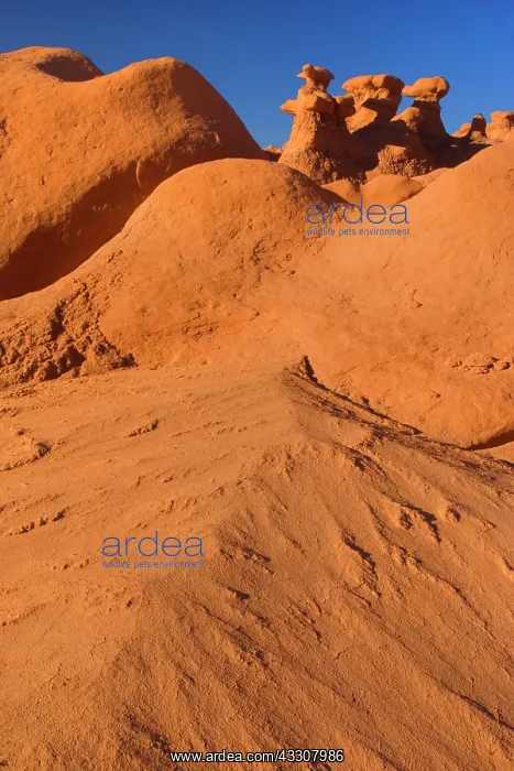 : 80187580 Goblin Valley - weirdly shaped sandstone : 80187580 Goblin Valley - weirdly shaped sandstone