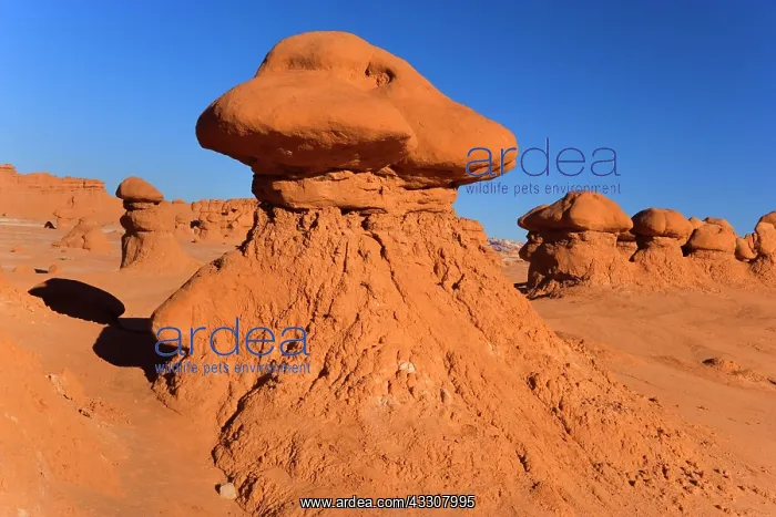 : 80187581 Goblin Valley - weirdly shaped sandstone : 80187581 Goblin Valley - weirdly shaped sandstone