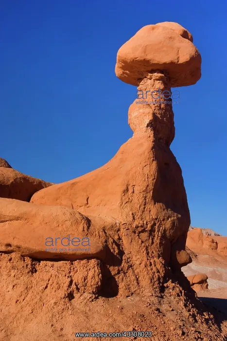 : 80187584 Goblin Valley - weirdly shaped sandstone : 80187584 Goblin Valley - weirdly shaped sandstone