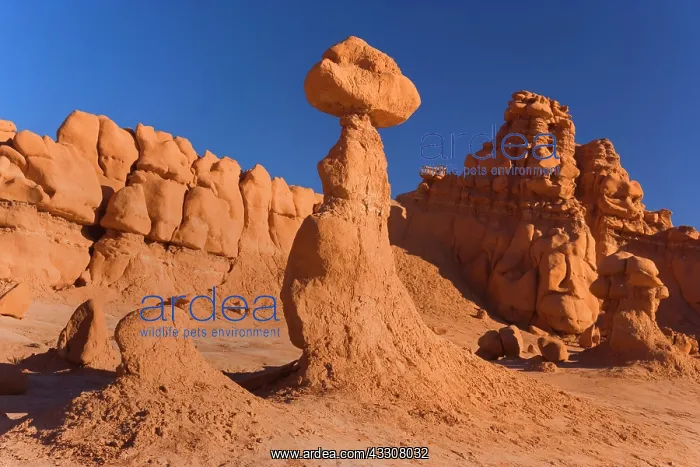 : 80187585 Goblin Valley - weirdly shaped sandstone : 80187585 Goblin Valley - weirdly shaped sandstone