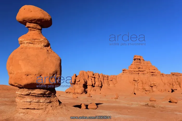 : 80187586 Goblin Valley - weirdly shaped sandstone : 80187586 Goblin Valley - weirdly shaped sandstone