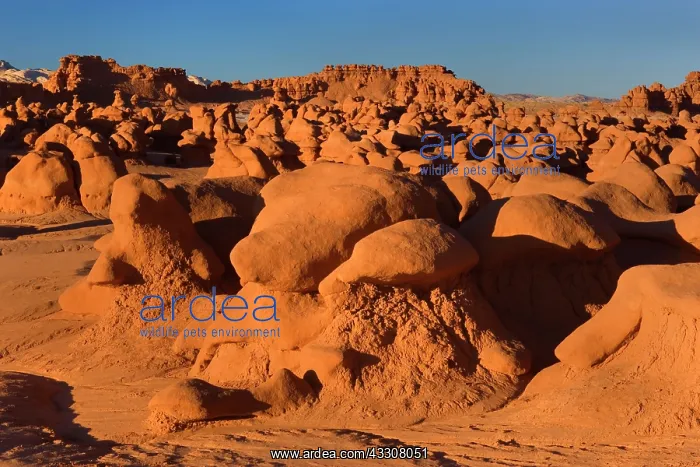 : 80187587 Goblin Valley - weirdly shaped sandstone : 80187587 Goblin Valley - weirdly shaped sandstone
