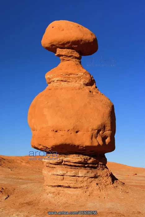 : 80187588 Goblin Valley - weirdly shaped sandstone : 80187588 Goblin Valley - weirdly shaped sandstone