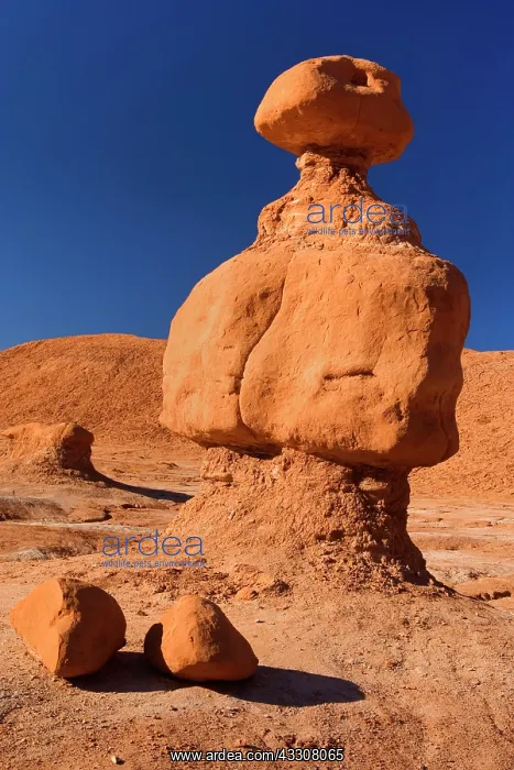 : 80187589 Goblin Valley - weirdly shaped sandstone : 80187589 Goblin Valley - weirdly shaped sandstone