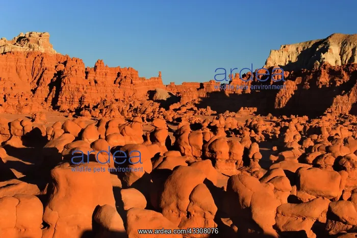 : 80187590 Goblin Valley - weirdly shaped sandstone : 80187590 Goblin Valley - weirdly shaped sandstone