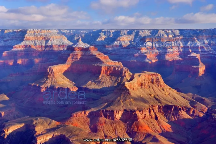 : 80187618 Grand Canyon - snow on Grand Canyon's North : 80187618 Grand Canyon - snow on Grand Canyon's North