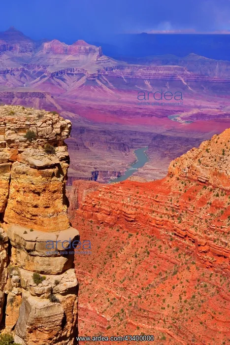 : 80187622 Grand Canyon Panorama - panoramic view : 80187622 Grand Canyon Panorama - panoramic view