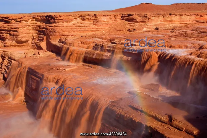: 80187627 Grand Falls - rainbow and raging muddy : 80187627 Grand Falls - rainbow and raging muddy