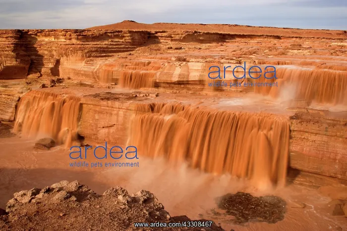 : 80187630 Grand Falls - raging muddy falls of the : 80187630 Grand Falls - raging muddy falls of the
