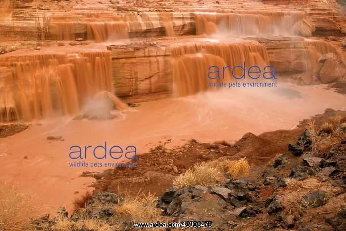 : 80187631 Grand Falls - raging muddy falls of the : 80187631 Grand Falls - raging muddy falls of the