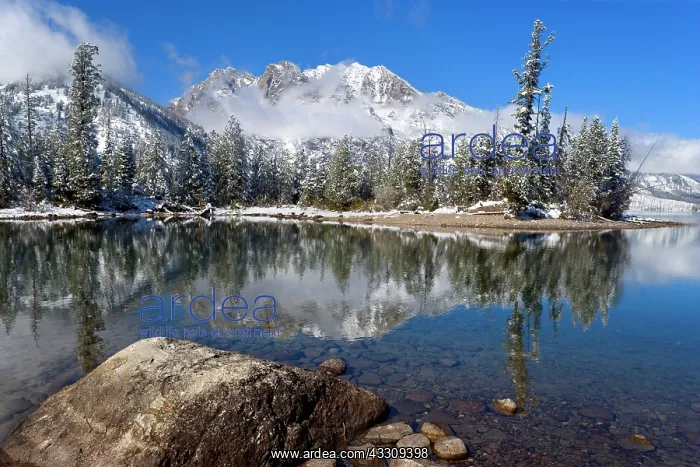 : 80187736 Winter landscape - by a thick blanket of : 80187736 Winter landscape - by a thick blanket of