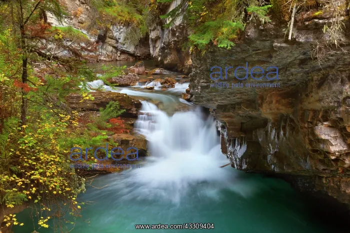 : 80187737 Johnston Canyon - water of Johnston River : 80187737 Johnston Canyon - water of Johnston River