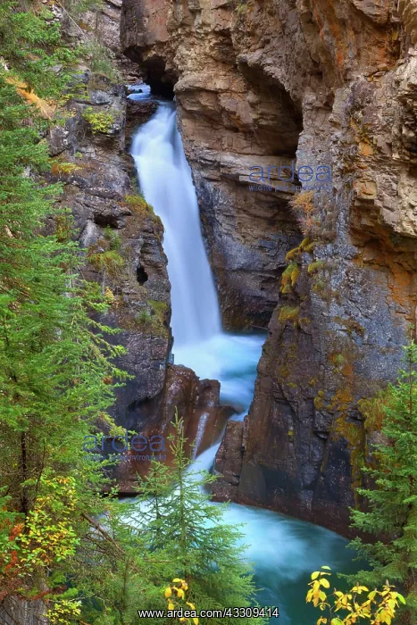 : 80187738 Lower Falls - water of Johnston River rushing : 80187738 Lower Falls - water of Johnston River rushing