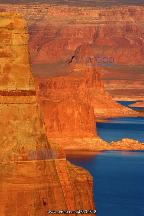  : 80187752 Lake Powell - red sandstone buttes and