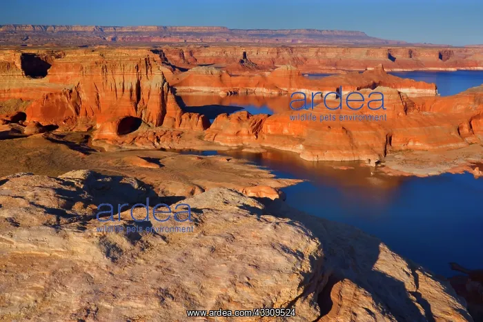 : 80187753 Lake Powell - panoramic view onto Lake : 80187753 Lake Powell - panoramic view onto Lake