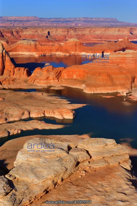 : 80187754 Lake Powell - panoramic view onto Lake : 80187754 Lake Powell - panoramic view onto Lake