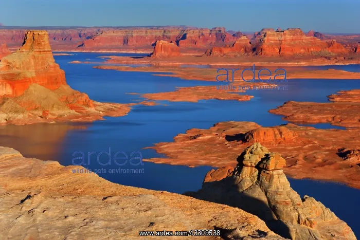 : 80187755 Lake Powell - panoramic view onto Lake : 80187755 Lake Powell - panoramic view onto Lake