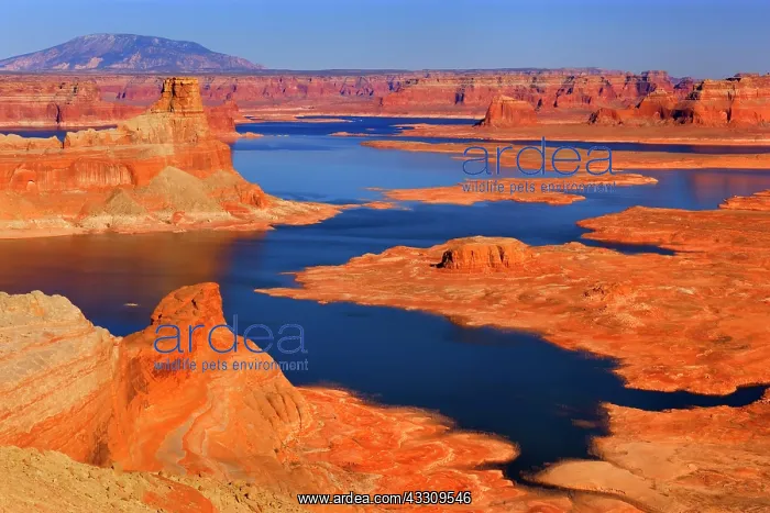 : 80187756 Lake Powell - panoramic view onto Lake : 80187756 Lake Powell - panoramic view onto Lake
