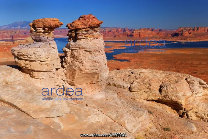: 80187758 Lake Powell - colourful rock formation : 80187758 Lake Powell - colourful rock formation