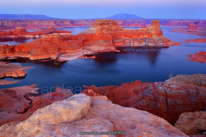 : 80187759 Lake Powell - panoramic view onto Lake : 80187759 Lake Powell - panoramic view onto Lake