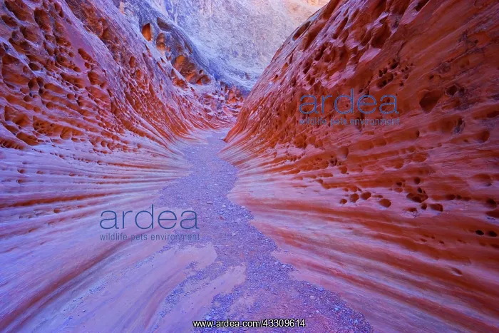 : 80187765 Little Wild Horse Canyon - very artfully : 80187765 Little Wild Horse Canyon - very artfully