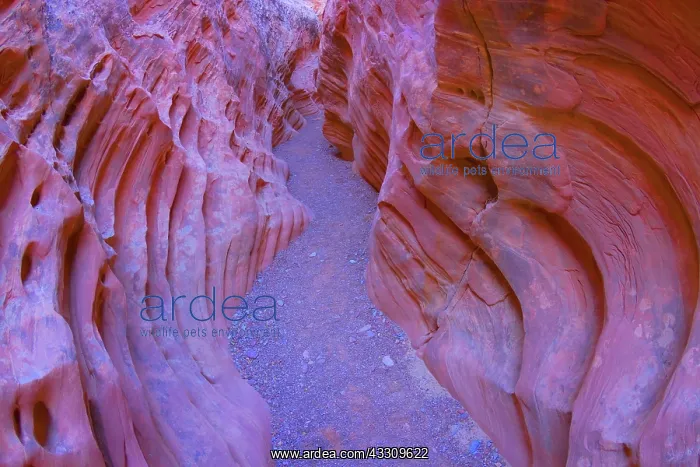 : 80187766 Little Wild Horse Canyon - very artfully : 80187766 Little Wild Horse Canyon - very artfully