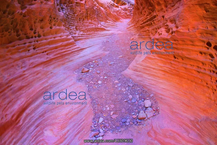 : 80187767 Little Wild Horse Canyon - very artfully : 80187767 Little Wild Horse Canyon - very artfully