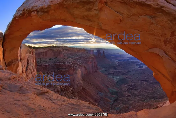 : 80187785 Mesa Arch - maze of canyons and buttes : 80187785 Mesa Arch - maze of canyons and buttes