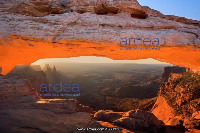 : 80187787 Mesa Arch - view through Mesa Arch into : 80187787 Mesa Arch - view through Mesa Arch into