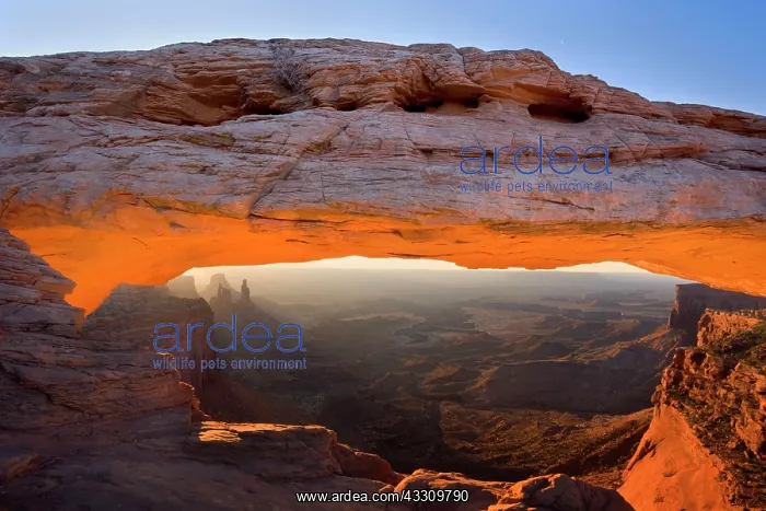 : 80187788 Mesa Arch - view through Mesa Arch into : 80187788 Mesa Arch - view through Mesa Arch into