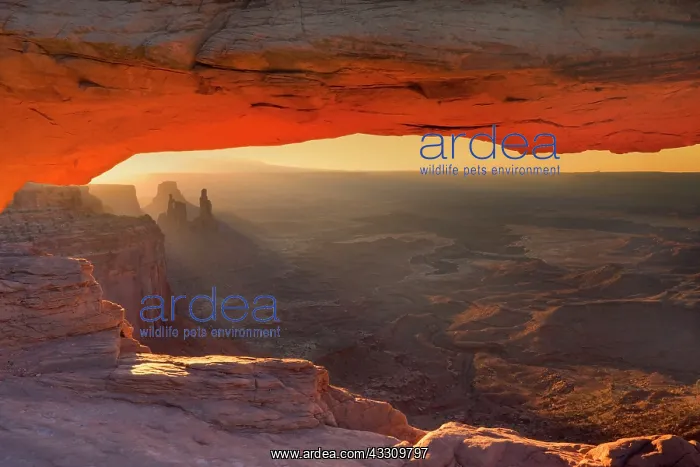  : 80187789 Mesa Arch - view through Mesa Arch into