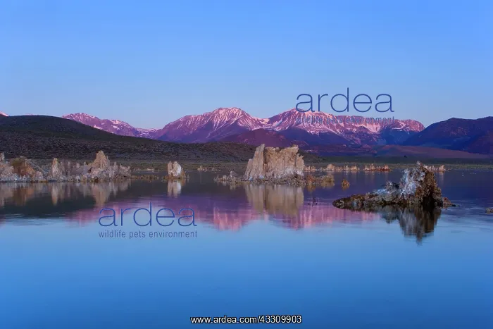 : 80187804 Mono Lake - bizarre tufa formations and : 80187804 Mono Lake - bizarre tufa formations and