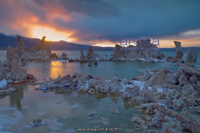 : 80187805 Tufa Formation - amazingly sculpted tufa : 80187805 Tufa Formation - amazingly sculpted tufa
